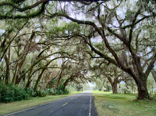 Landscape along Highway 234 in Florida