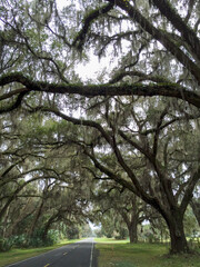 Landscape along Highway 234 in Florida