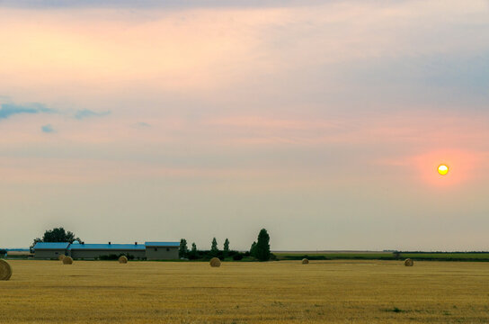 Rural farmland at sunset in Kneehill County, Alberta, Canada