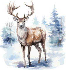 Naklejka na ściany i meble Watercolor stag, buck deer illustration.