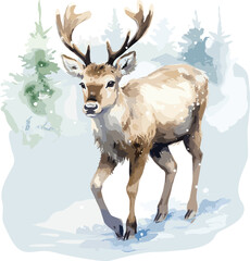 Watercolor stag, buck deer illustration.