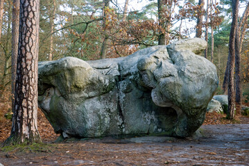 Fototapeta na wymiar Rocher, Sentier des peintres de Barbizon, Forêt de Fontainebleau, 77, Seine et Marne, France
