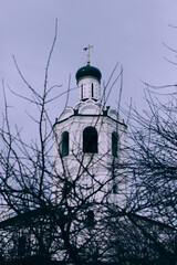 A&nbsp;gloomy shot of&nbsp;an&nbsp;Orthodox church with dark trees. A&nbsp;crow sits on&nbsp;the cross of&nbsp;the dome of&nbsp;the temple
