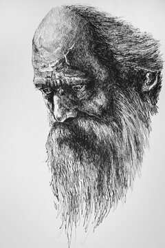 Old man with a mustache - illustration. Detailed drawing of an old sad man with a mustache and beard, drawn by a liner.