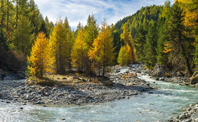 Fototapeta na wymiar Herbst im Val Roseg, Ova da Roseg, Pontresina, Engadin, Kanton Graubünden, Schweiz
