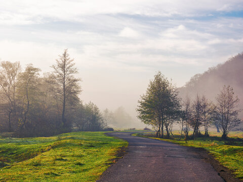 country road through rural valley in morning light. autumnal scenery with forest in fog. cloudy sky