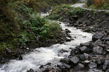 A bright blue river flowing through forest in a hidden park along the scenic drive in Hoverla mountains area in Ukraine