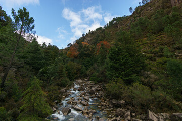 Obraz premium Mountain river Arado with much water during autumn time, Peneda-Geres National Park, Vilar da Veiga, Portugal