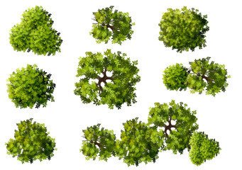 Fototapeta premium Vertor set of green tree,plants top view for landscape plan,schematic layout,eco environment concept design,watercolor greenery illustration