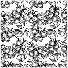 Pattern seamless of coffee tree ink drawing sketch for poster, fabric, cover, label packaging, name card, post card, brochure. Coffee pattern