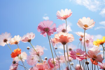 romantic spring summer background, fresh flowers against blue sky. Generative AI