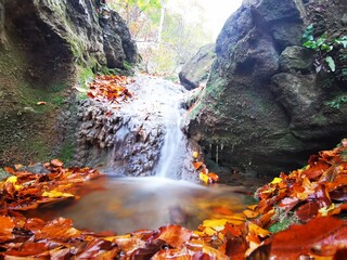 Clear water on small waterfall in a beautiful mountain stream. Colorful autumn forest