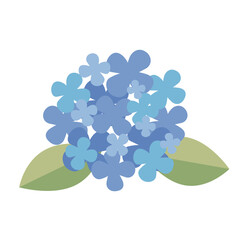 水色の紫陽花の挿し絵　フラット
