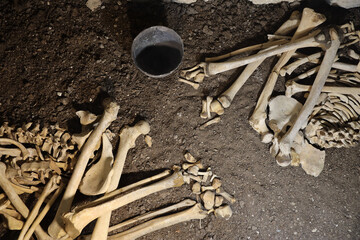 Skull and bones digged from pit in the scary graveyard of prisoners after tortures