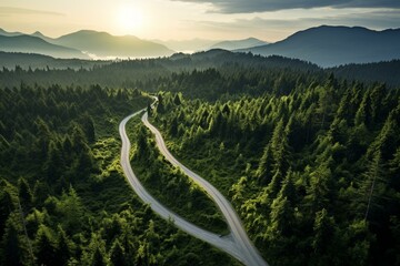 Bird's-eye view of forest road with winding path leading to mountains. Generative AI