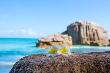 Tropical beach Anse Patate Seychelles
