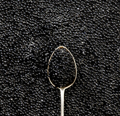Black Caviar in silver spoon on caviar backdrop. High quality natural sturgeon black caviar...