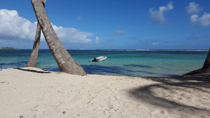 Daydreaming in Guadeloupe