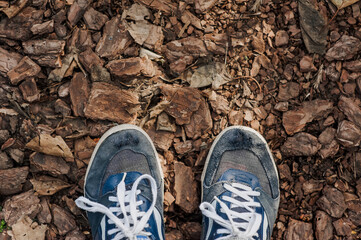 A poor man wearing torn suede sneakers with holes in them stands on a tree bark in the forest. Photography, nature walk.