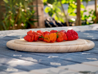 Red hot Carolina Reaper Chili fruits on plate in close up view