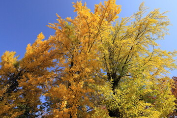 全国城巡り　信州上田城址とその周辺