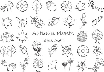 秋の植物のアイコンセット　線画透過背景