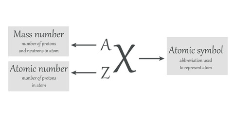 Representation of an atom. Atoms and elements. Symbol of element, mass number (protons and neutrons), atomic number (protons). Symbolic representation of an element. Scientific resources for teachers.