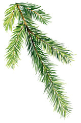 Christmas tree branch isolated. Coniferous, pine, spruce branch isolated on for product design for New Year or Christmas. Handpainted watercolor clip art illustration.