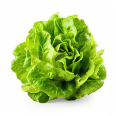 Fresh lettuce on white background