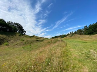 Lichtung, Wald, Wiese, Natur, Herbst