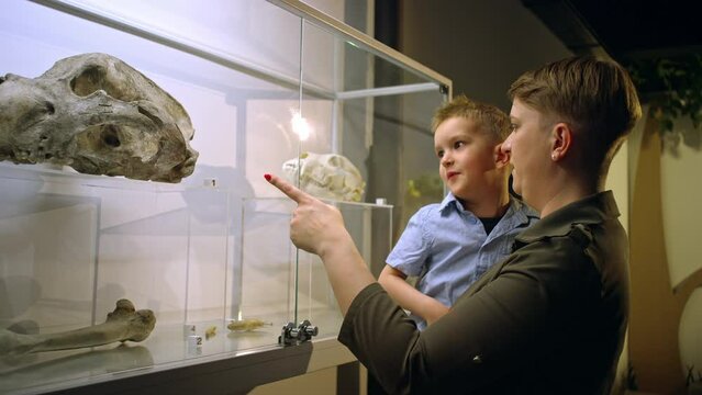 Curious little boy in his mother's arms looking at an animal skeleton in a bone display case at a natural history museum exhibition, medium shot.