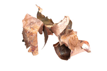 copper shavings on a white isolated background