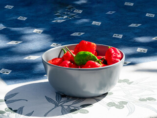 Mixed Colored Chilis on outdoor kitchen plates in close up view