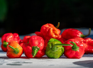 Mixed Colored Chilis on outdoor kitchen plates in close up view