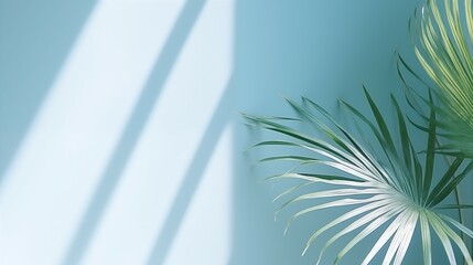Blurred Palm Leaves Shadow on Light Blue Wall Abstract Background Nature Tropical Pattern Summer Foliage