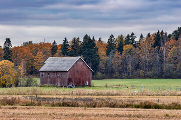 Obraz premium autumn landscape