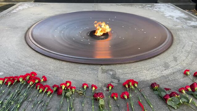 The eternal flame burns against the background of red carnations. Close up. Selective focus.