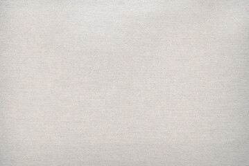 Fototapeta premium Texture of luxurious gray or white fabric for cutting and sewing clothes. Background made of dense material. Textile