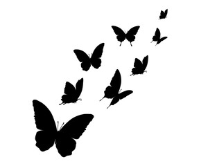 set of butterflies isolated