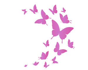 Fototapeta na wymiar pink butterfly on white background