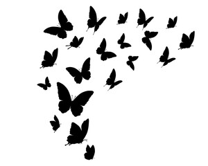 butterfly silhouettes vector