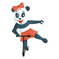 Vector illustration, funny cute panda rides a scooter and smiles on a white background. Vector illustration.
