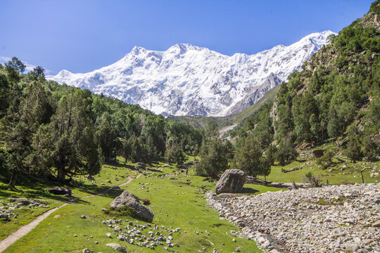 Nanga parbat views