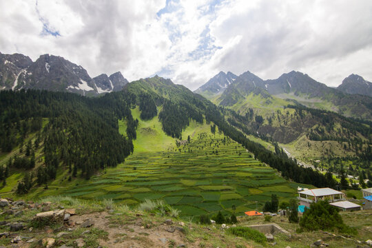 Green mountains