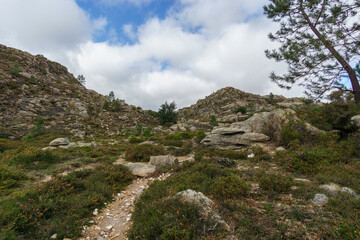 Path through mountain landscape of granite rocks with green vegetation, Peneda-Geres National Park, Vilar da Veiga, Portugal