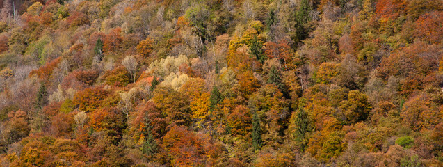 autumn landscape in the mountains