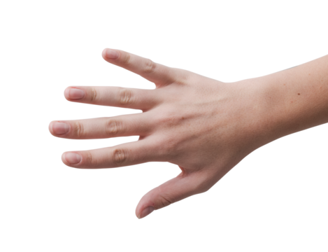 Young open female hand showing fingers