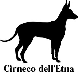 Cirneco dell’Etna Dog silhouette breeds dog breeds dog monogram logo dog face vector