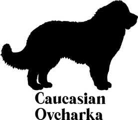Caucasian Ovcharka Dog silhouette breeds dog breeds dog monogram logo dog face vector