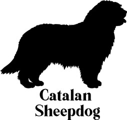 Catalan Sheepdog Dog silhouette breeds dog breeds dog monogram logo dog face vector